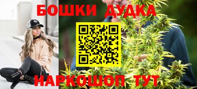 крисы Славянск-на-Кубани