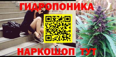 крисы Славянск-на-Кубани