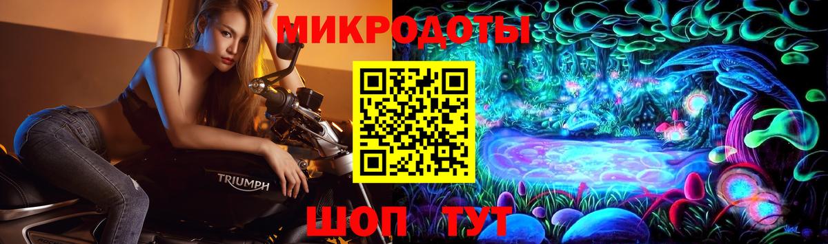 наркошоп  Вход с VPN  Псилоцибиновые грибы GOLDEN TEACHER  Моздок  Псилоцибиновые грибы мицелий 