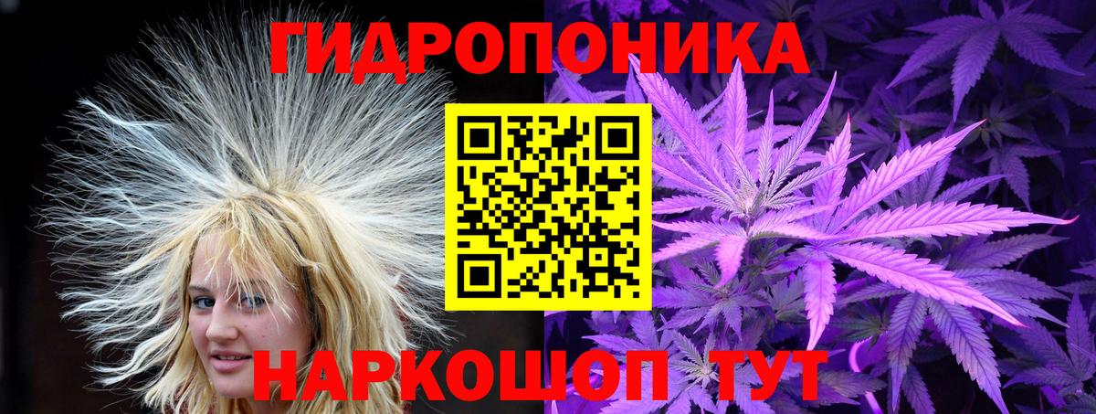 Шишки марихуана тримм Моздок